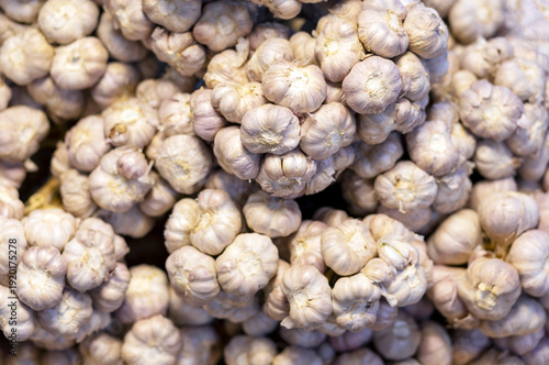 Garlic, Fresh garlic bulbs stacked together in natural light, showing purple and white tones with rich texture. Ideal for food, agriculture, healthy ingredients, and background use