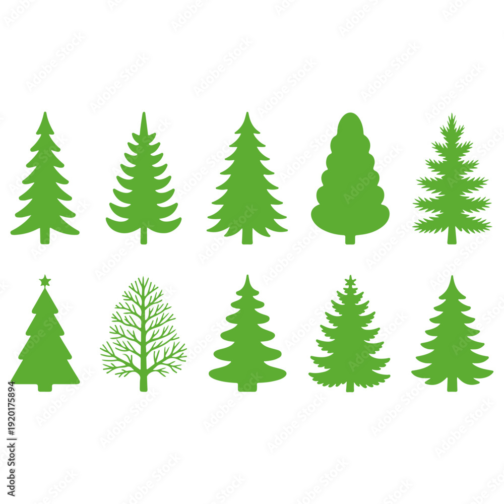 Obraz premium Variety of green Christmas trees in different shapes and sizes