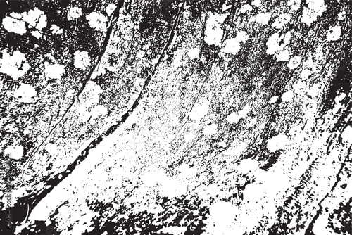 Microscopic view of a biological tissue sample showing cellular structures and fibers