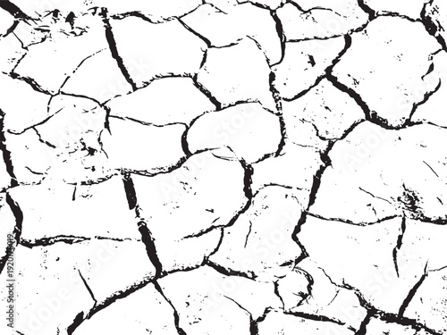 Cracked and dry earth surface revealing intricate patterns of desiccation