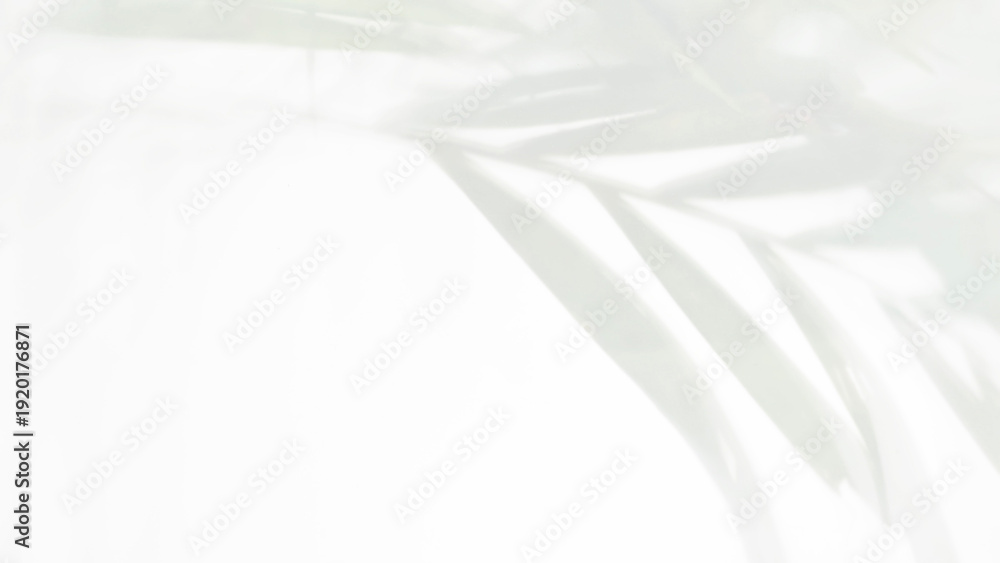 Obraz premium High-key abstract background of white frosted glass with soft blurry silhouettes of green palm leaves behind it creating clean minimalist and serene botanical aesthetic
