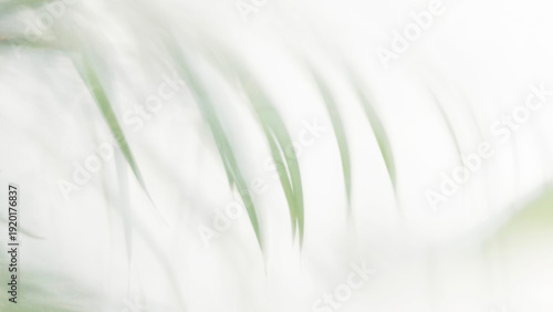 Картината върху платно High-key abstract background of white frosted glass with soft blurry silhouettes