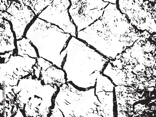 Close-up view of cracked and dry earth surface revealing intricate patterns