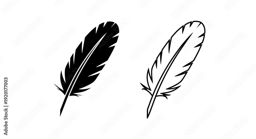 Fototapeta premium Two black and white feather illustrations, vector art, digital drawing Vector