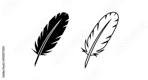 Two black and white feather illustrations, vector art, digital drawing Vector