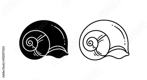 Black and white shells, minimalist seashells, nautilus shells, abstract shells Vector