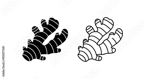 Two different types of ginger roots - black and white - vector illustration Vector