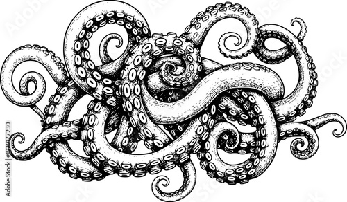 Detailed black and white ink of a swirling octopus with many tentacles and suckers