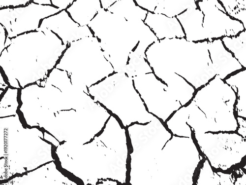 Cracked and dry earth surface under a barren landscape