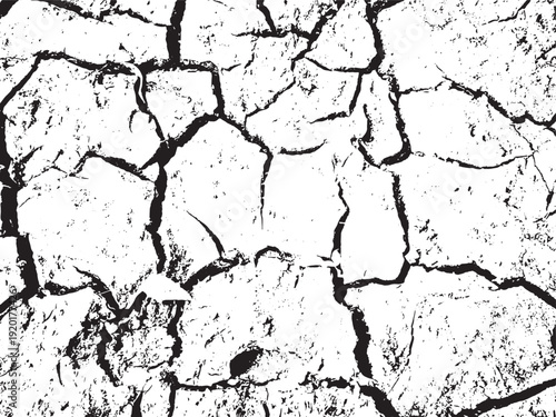 Dry cracked earth surface showcasing parched and desiccated terrain patterns