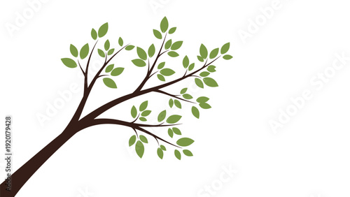 Delicate tree branch with fresh green leaves stretches across the frame in this simple nature illustration suitable for seasonal designs.