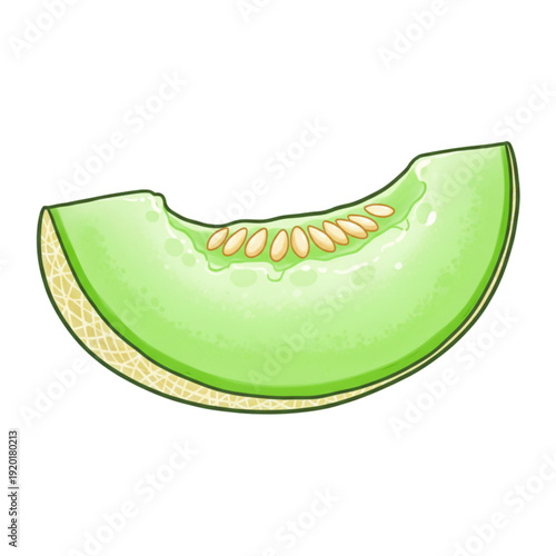 Vector illustration of a green watermelon designed as a stylish sport sneaker with casual leather laces and winter boot elements isolated for fashion footwear design