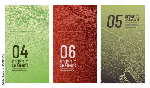 Vine leaf texture design template. Ideal for banners, covers, labels, promotions, and wine designs.