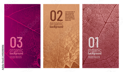 Vine leaf texture design template. Ideal for banners, covers, labels, promotions, and wine designs.