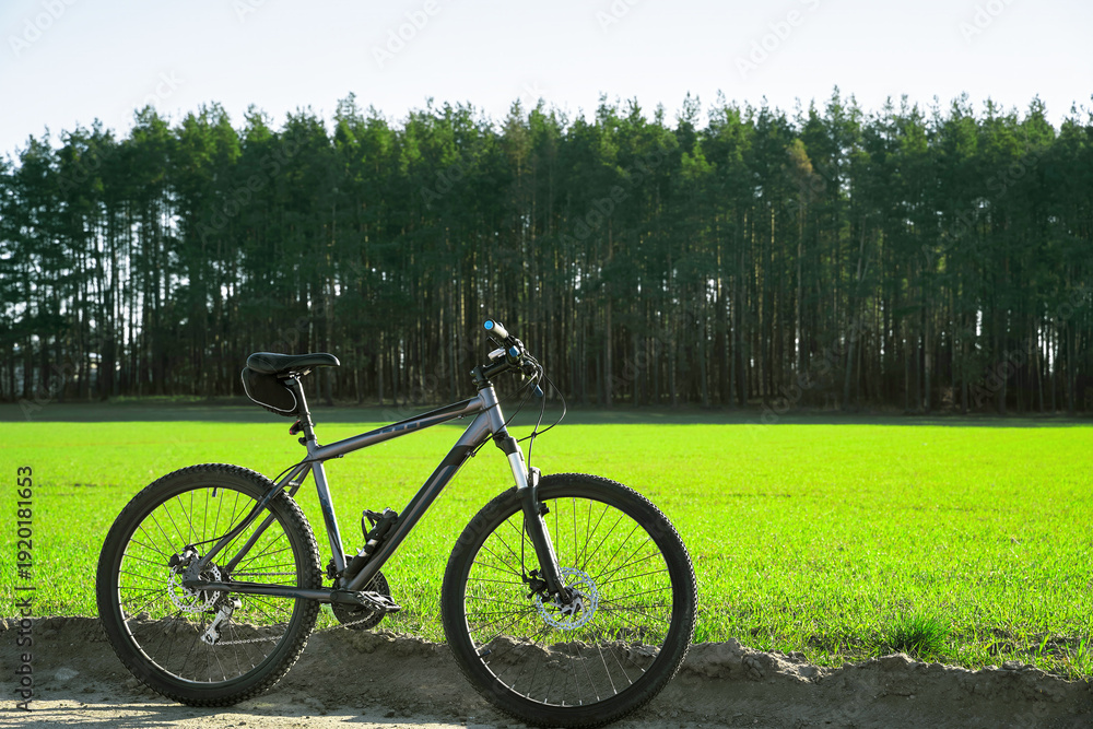 Fototapeta premium Black bicycle parked in front of green field