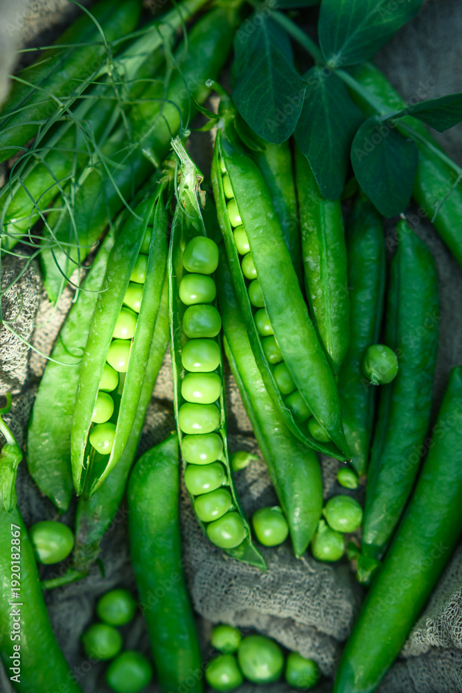 Fototapeta premium Fresh green peas on textile background with pods and leaves. Healthy vegetable food with rustic mood