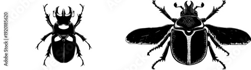 Vintage Vibe: A Stylish Atlas Beetle with a Mystical Aura