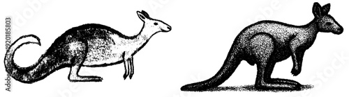 Ancient marsupial journeying through the outback