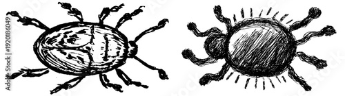 Inkwell Bug: A Hand-Drawn Blue Insect with Six Legs