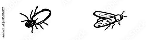 A lone firefly's nightly quest