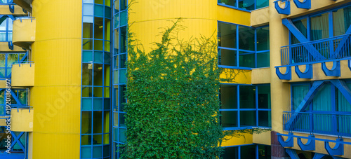 Exterior of modern building with blue and yellow wall and green ivy