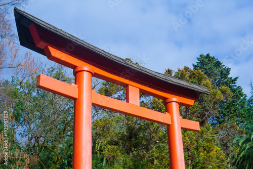 red torii gate in the park.