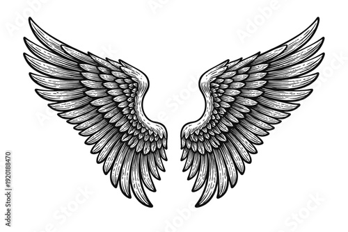 Exquisite Engraved Wings Illustration: Symmetrical Black and White Vintage-Style Art Piece, Majestic Feathered Design Symbolizing Freedom, Spiritual Ascent, Protection, and Divine Power, Ideal for Tat