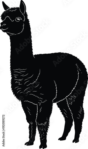 Cute cartoon vector illustration of a llama alpaca and lama