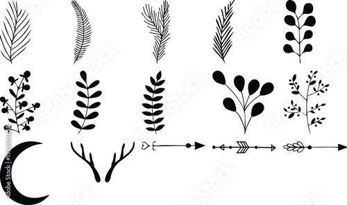 Hand drawn botanical elements and celestial symbols