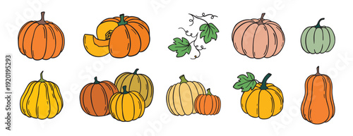 pumpkin and pumpkin leaves autumn harvest doodle hand drawn icon set. Cartoon colorful drawing pumpkin clipart symbol collection