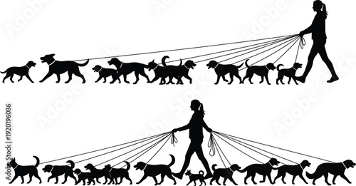 Woman walking dogs on leashes, dog walker, multiple pets, animal care, outdoor activity, silhouette of person and canines