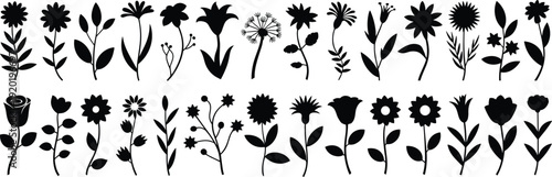Black silhouettes of twenty-four different flowers and plants on a white background Keywords: flowers, plants, silhouette