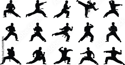 Sixteen martial arts silhouettes showing diverse stances, punches, high kicks, and defensive movements for sports, combat training, fitness illustration design