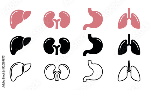 Human Internal Organ Vector Icons Featuring Liver Kidneys Stomach and Lungs