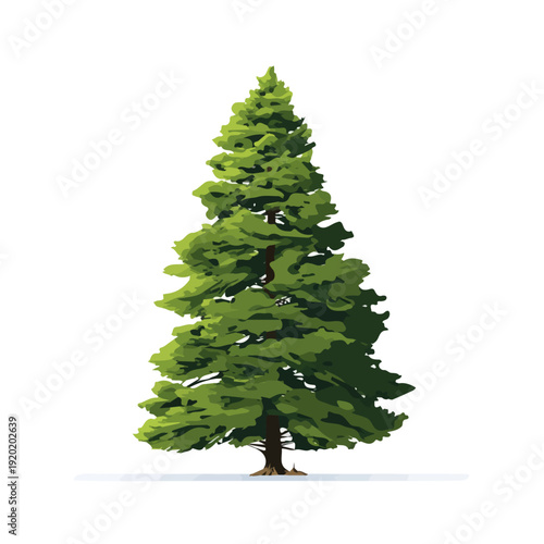 Modern flat 2D vector illustration of Cypress Tree, clean and minimal design, isolated on white background.