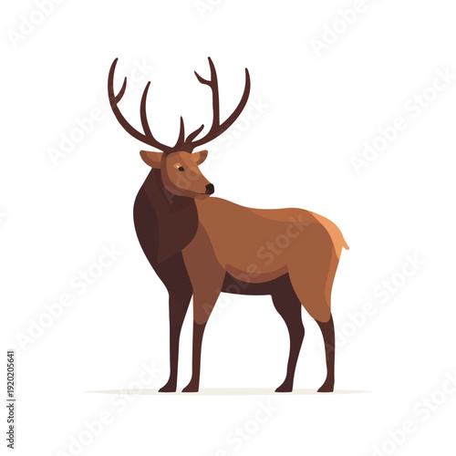 Elk illustrated in a clean 2D flat vector style, minimal and modern, isolated on a white background.
