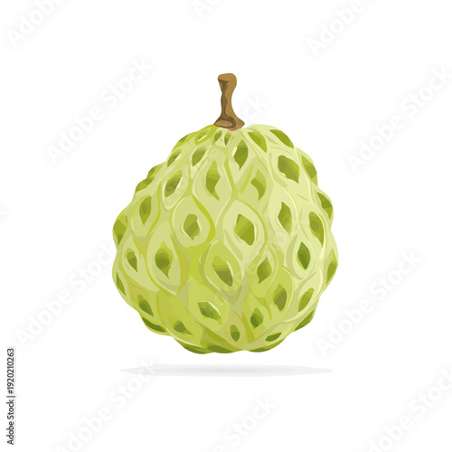 Modern flat 2D vector illustration of Custard Apple, clean and minimal design, isolated on white background.