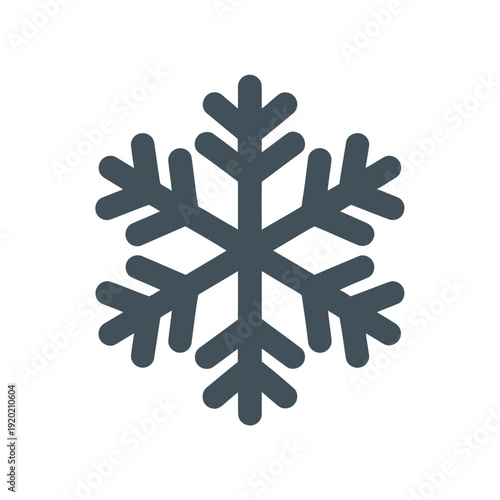 Snowflake Icon Symbol Winter Season Decoration.