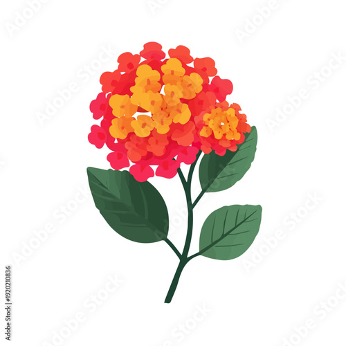 Lantana Flower, modern 2D flat vector illustration in icon style, isolated on pure white background.