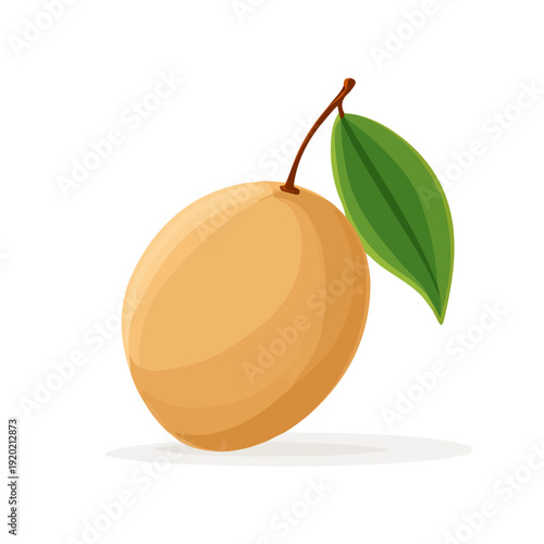 Modern flat 2D vector illustration of Sapodilla, clean and minimal design, isolated on white background.