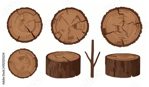 Natural wood texture vector set with log cross sections stumps and bark patterns