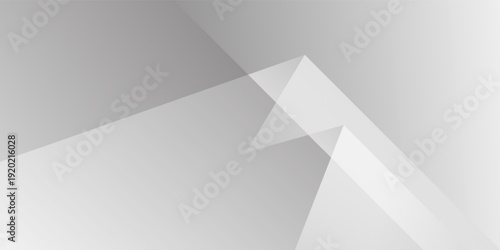 Abstract minimalist white and gray shape modern background. texture white pattern. vector illustration