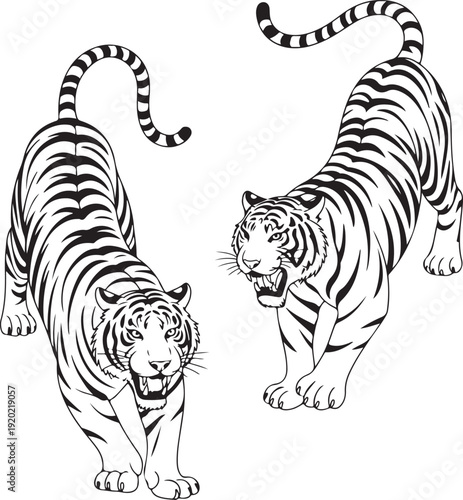 Set of big tigers. Collection of portraits of predatory wild cats. Set of wildlife and fauna dwellers. Vector illustration on a white background. Tattoo.