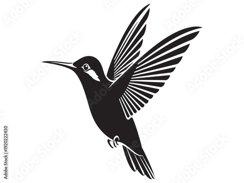 Black and white illustration of a hummingbird in flight with outstretched wings and long beak