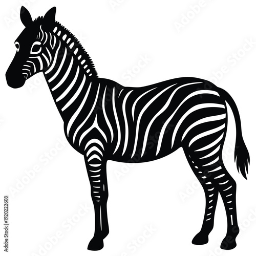 Set of african zebra side and front view cartoon animal design flat vector illustration isolated on white background