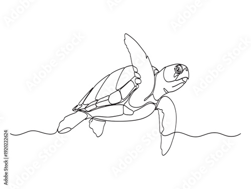 A sea turtle swimming in the ocean with its flippers outstretched