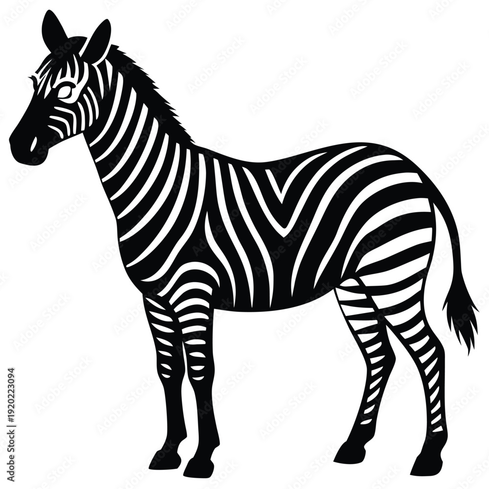 Obraz premium Set of african zebra side and front view cartoon animal design flat vector illustration isolated on white background