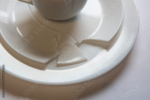 Cup and broken plate are shown on a flat surface during an indoor setting in the afternoon