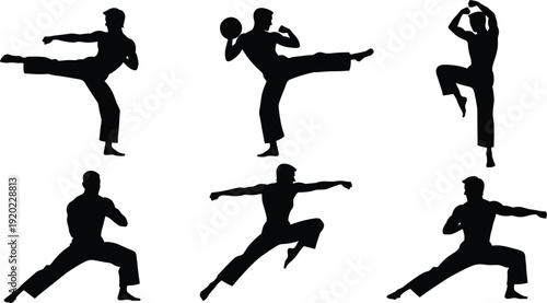 Black silhouettes of men in various martial arts poses white background
