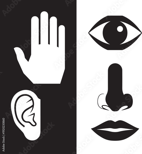 Black and white of five human senses eye ear nose mouth hand five senses symbol